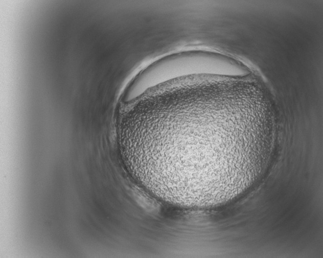 X0000080161167200612302146