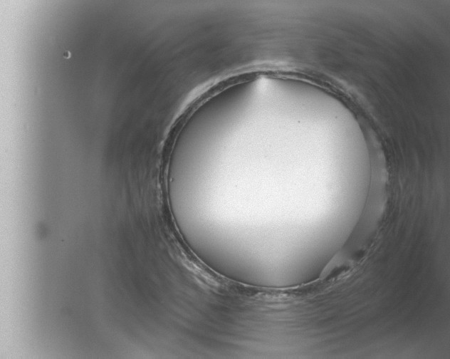 X0000080161168200612302146