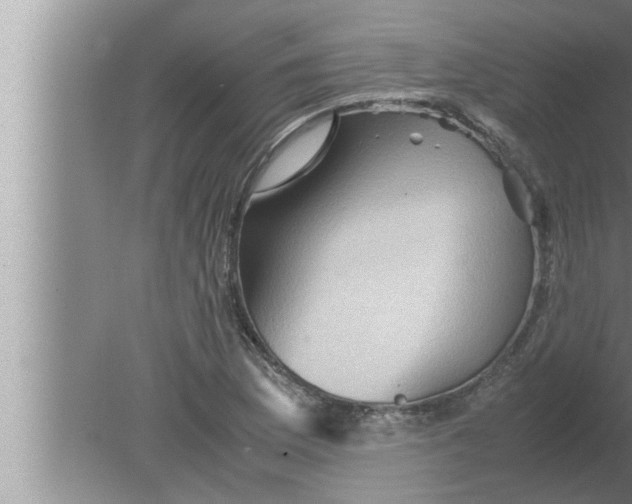 X0000080161169200612302146