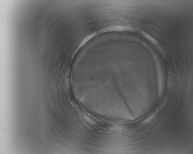 X0000080161170200612302146