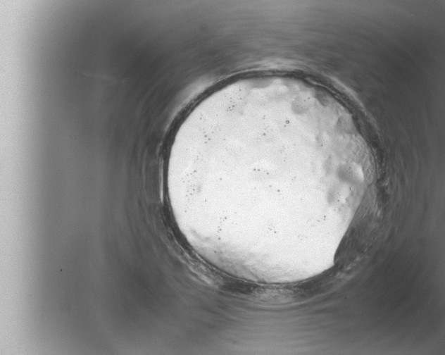 X0000080161171200612302146