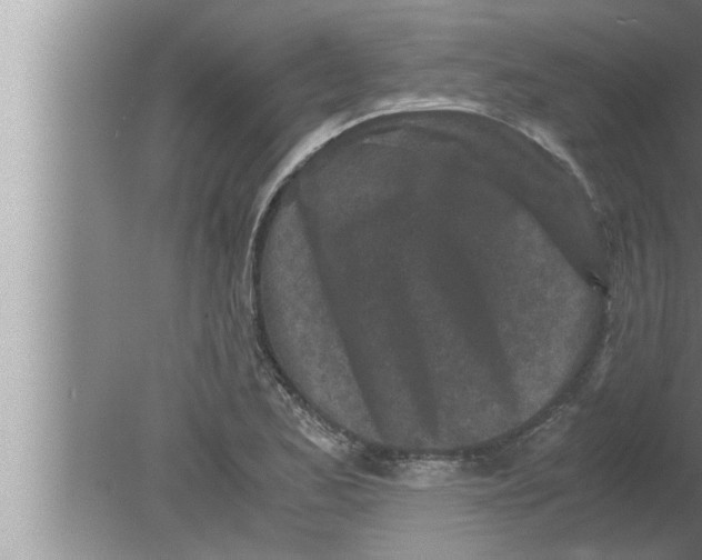 X0000080161173200612302146