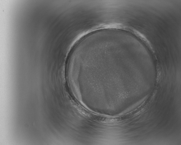 X0000080161174200612302146