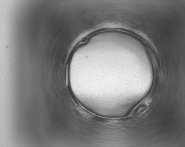 X0000080161175200612302146