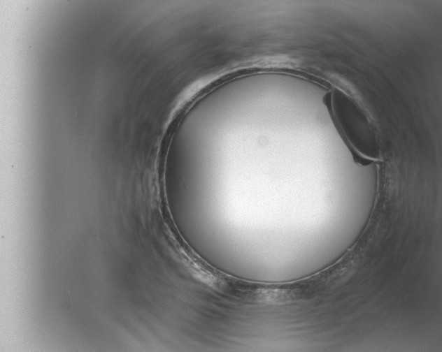 X0000080161176200612302146