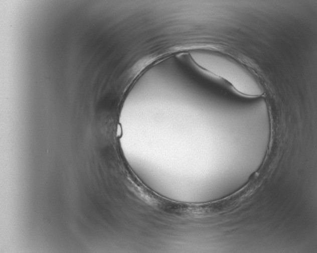 X0000080161177200612302146