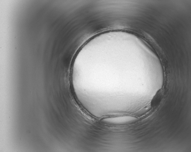 X0000080161178200612302146