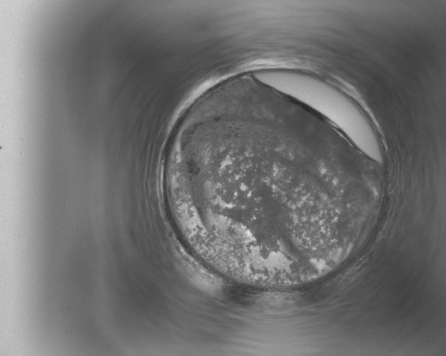 X0000080161179200612302146