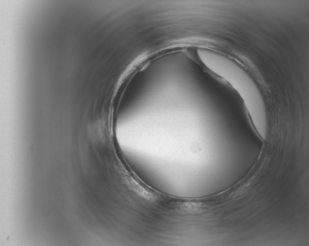 X0000080161180200612302146