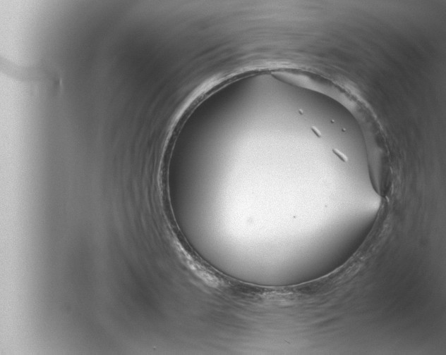 X0000080161181200612302146