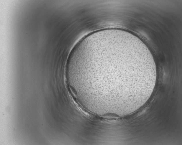 X0000080161182200612302145