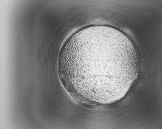 X0000080161183200612302145