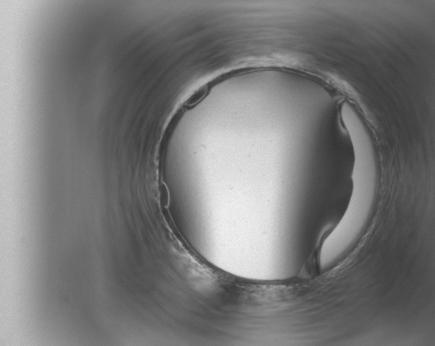 X0000080161184200612302145