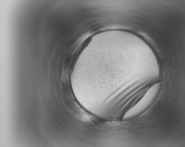 X0000080161185200612302145