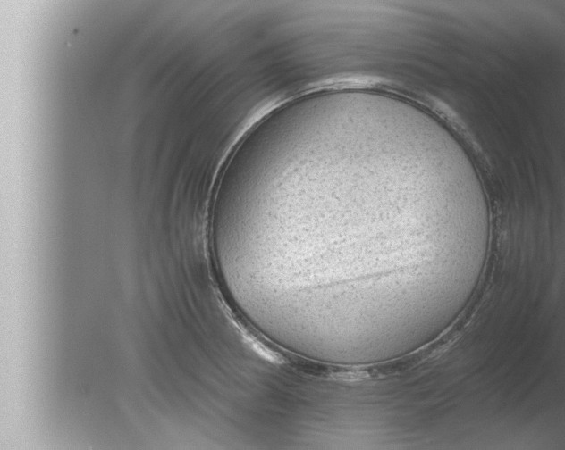 X0000080161186200612302145