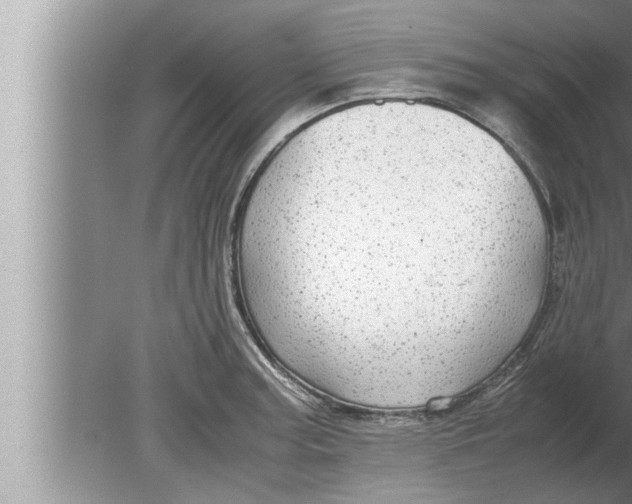 X0000080161187200612302145