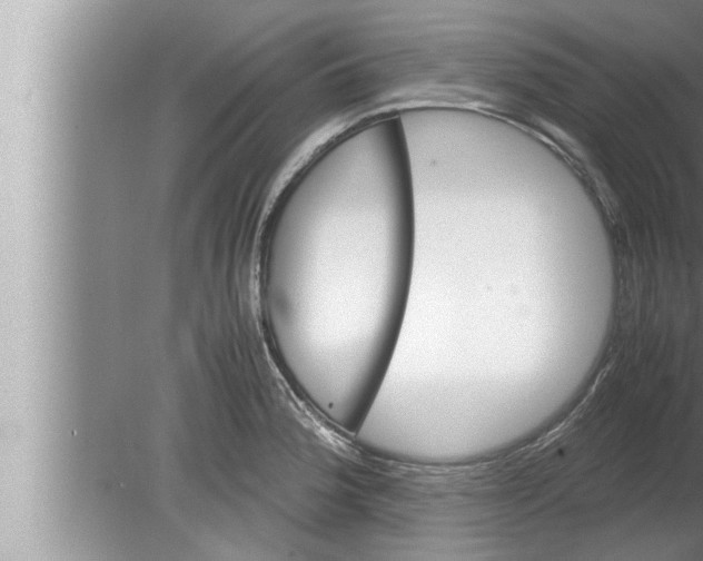 X0000080161188200612302145