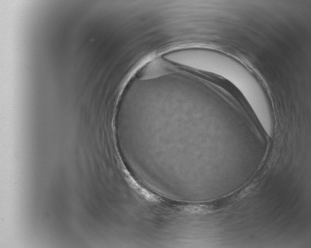 X0000080161189200612302145