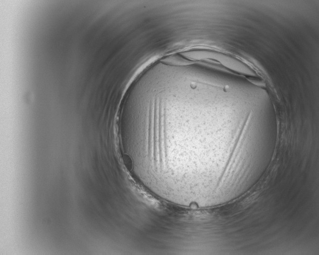 X0000080161190200612302145