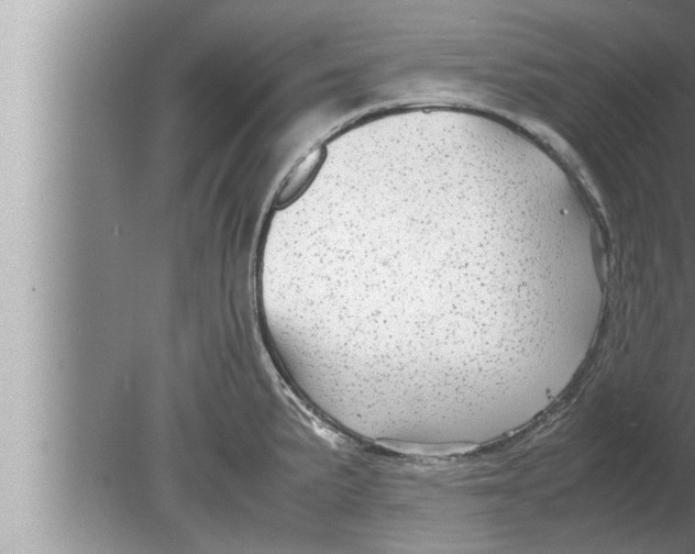 X0000080161191200612302145