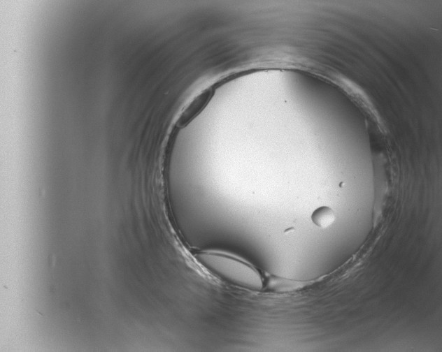 X0000080161192200612302145