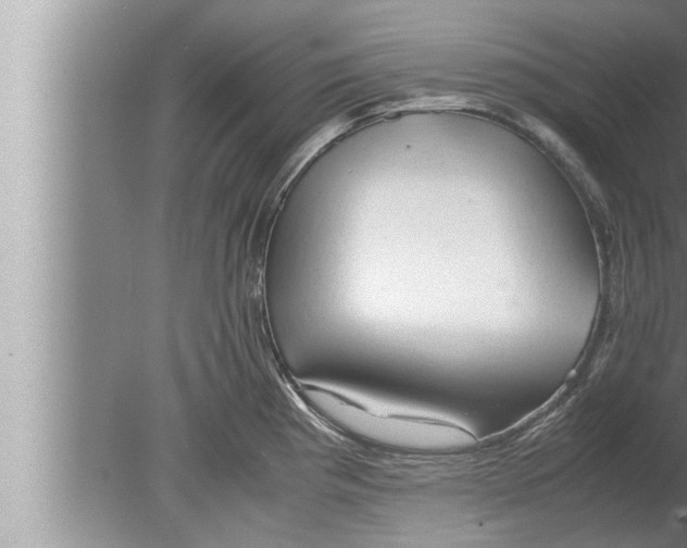 X0000080161193200612302145