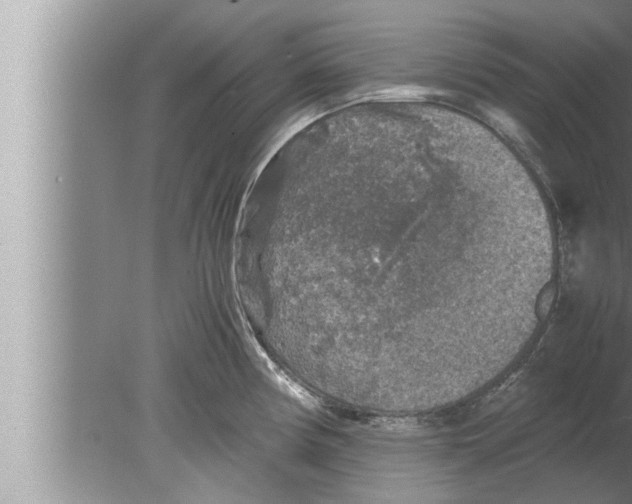 X0000080161194200612302145