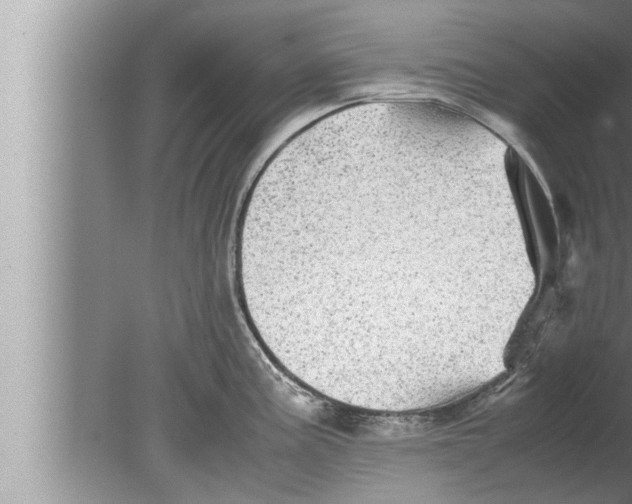 X0000080161195200612302145