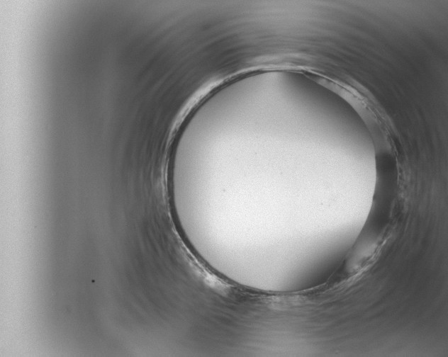 X0000080161196200612302145