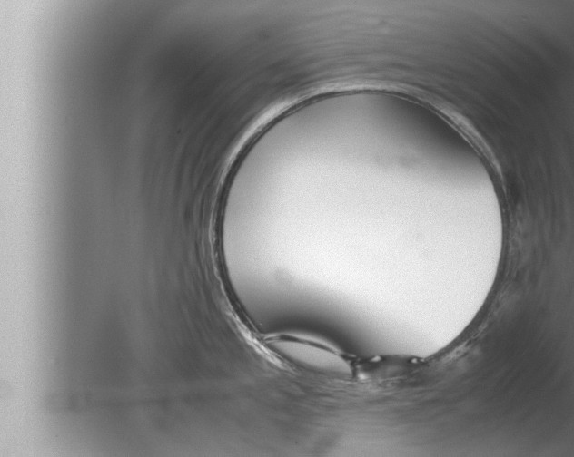 X0000080161197200612302145