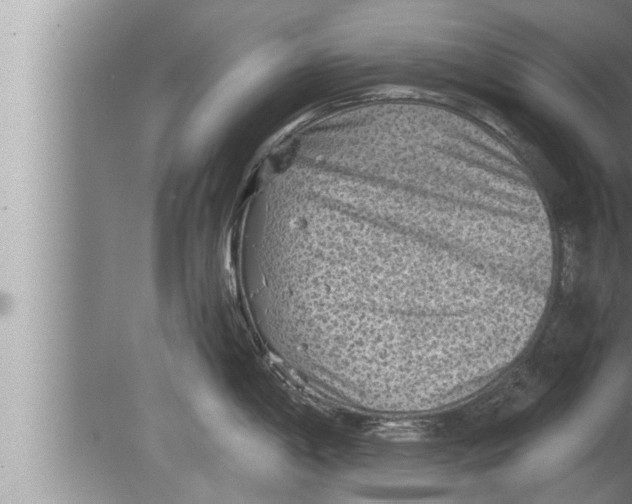 X0000080161198200612302145