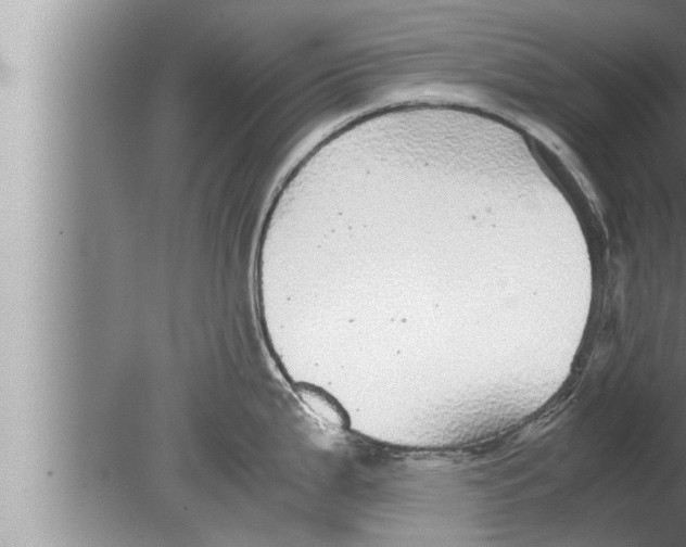 X0000080161199200612302145