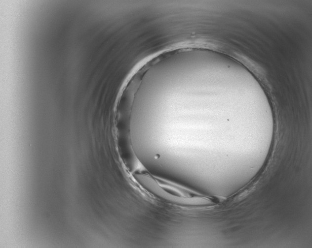 X0000080161200200612302145