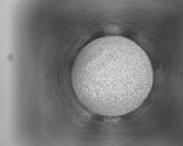 X0000080161201200612302144