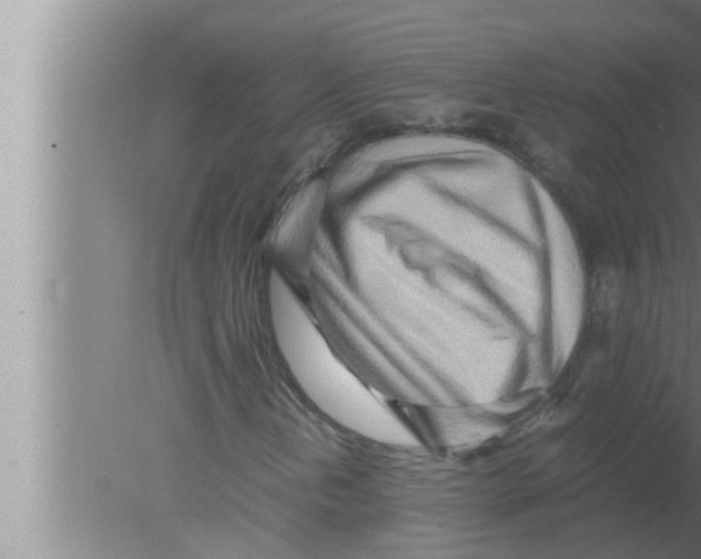 X0000080161202200612302144