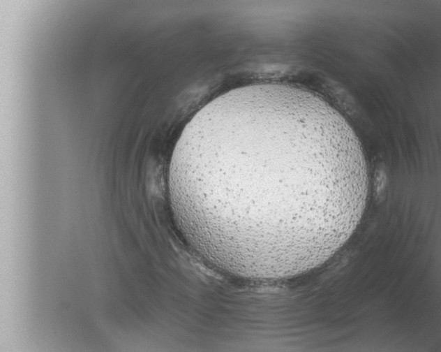 X0000080161204200612302144