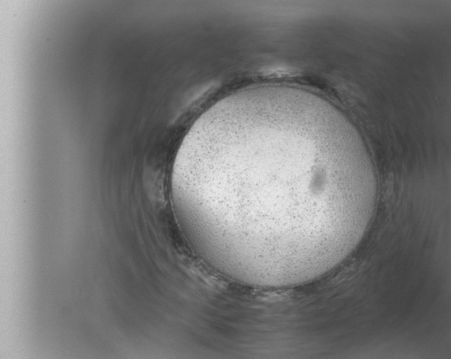 X0000080161205200612302144