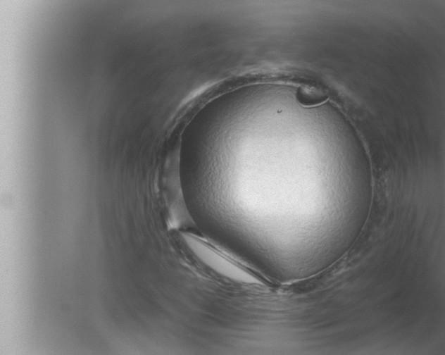 X0000080161206200612302144