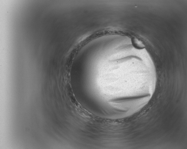 X0000080161207200612302144