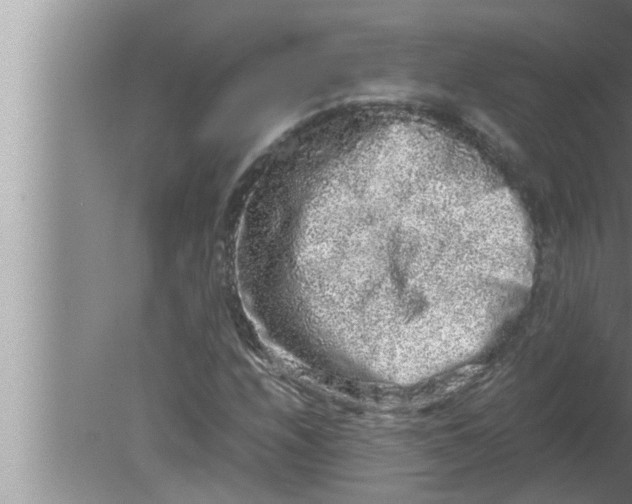 X0000080161208200612302145