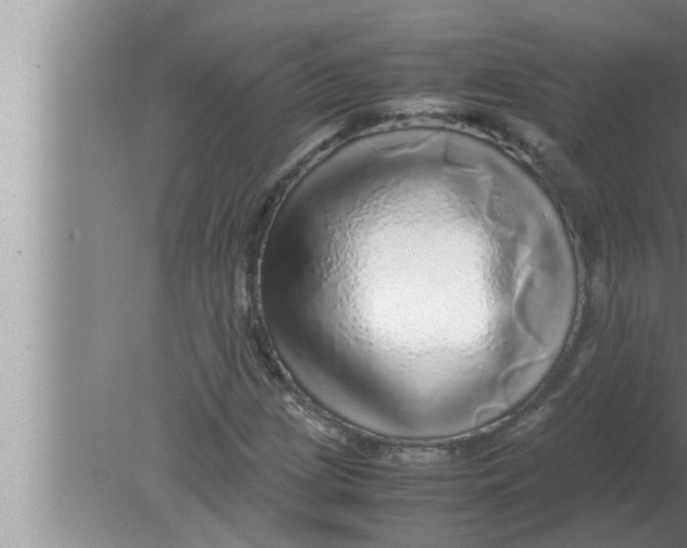 X0000080161209200612302145