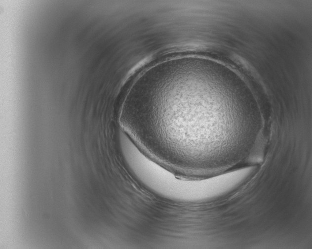 X0000080161210200612302145