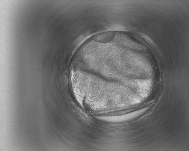 X0000080161212200612302145