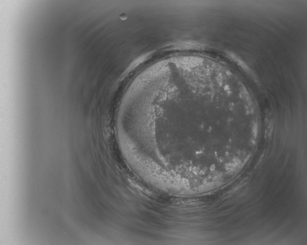 X0000080161213200612302145