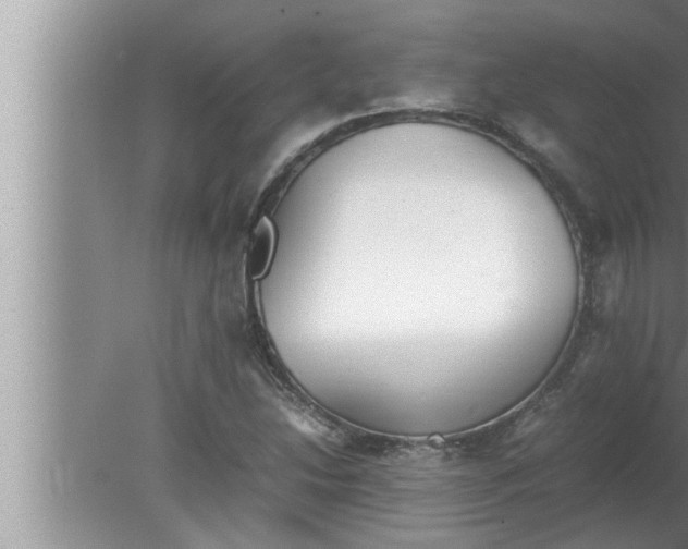 X0000080161214200612302145