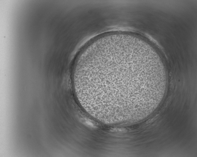 X0000080161215200612302145