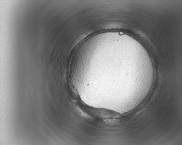 X0000080161217200612302145