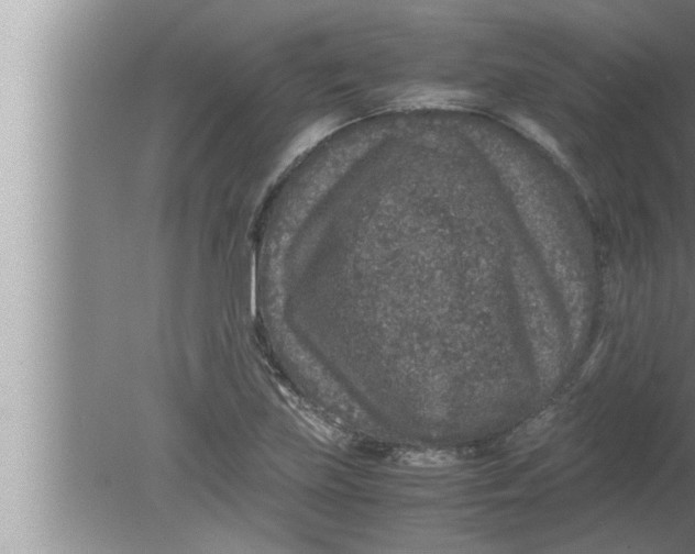 X0000080161219200612302145