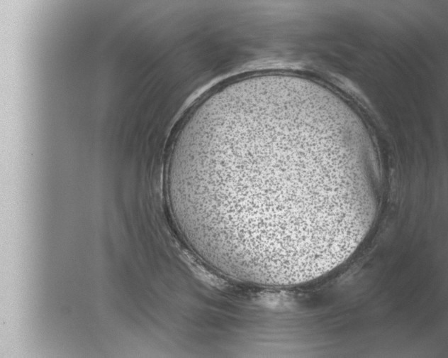 X0000080161220200612302145