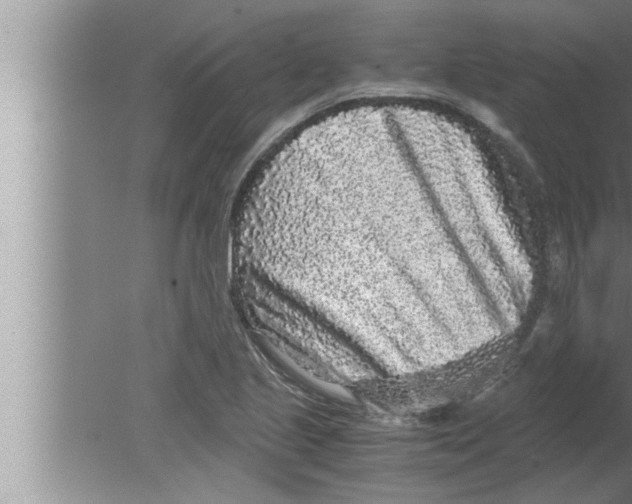 X0000080161221200612302145